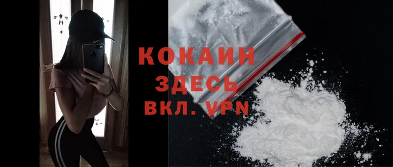 OMG   Кубинка  Cocaine Боливия  купить  цена 