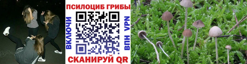 Псилоцибиновые грибы Magic Shrooms  KRAKEN ссылки  Кубинка 