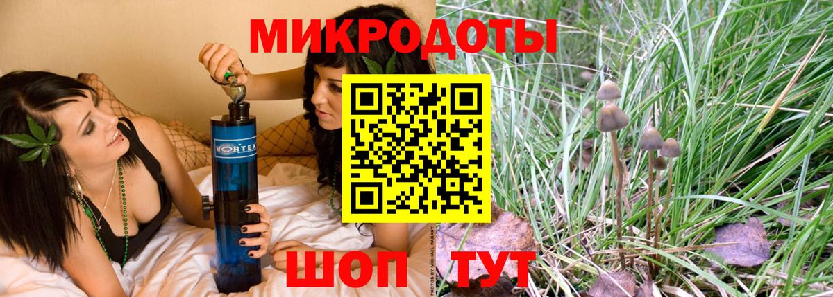 купить   Псилоцибиновые грибы Psilocybine cubensis  Кубинка  Вход с VPN  Псилоцибиновые грибы прущие грибы 